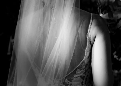 patricia lynch photography