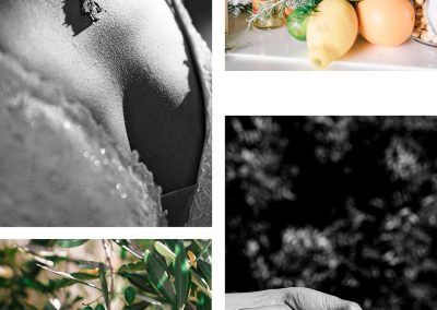 patricia lynch photography
