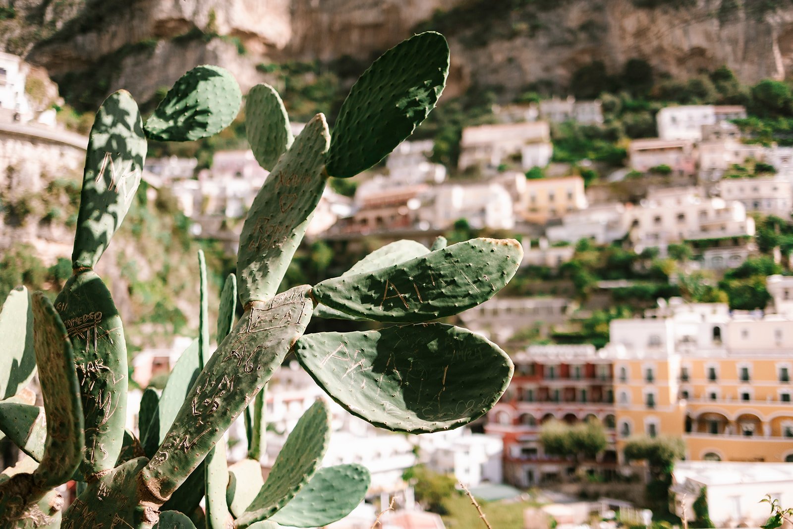 Positano view