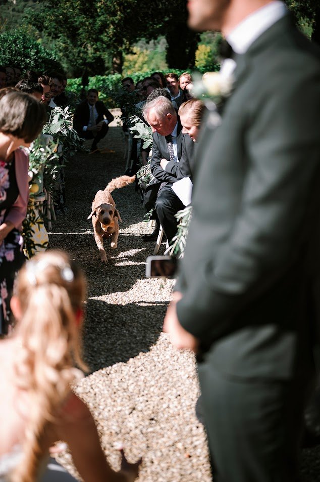 wedding photo Tuscany Italy